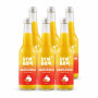 Suc de mandarine 100% natural presat la rece 330ml - RAYAM ROMANIA