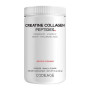 Codeage Creatine Collagen Peptides, Formula Avansata Cu Colagen Marin, Creatina Si Nutrienti Esentiali cu Aroma De Mango, 426 g 