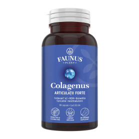 Colagenus Articulatii Forte, pentru sanatatea articulatiilor, 90 capsule - Faunus Plant