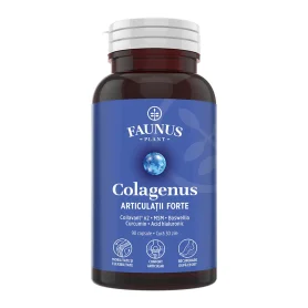 Colagenus Articulatii Forte, pentru sanatatea articulatiilor, 90 capsule - Faunus Plant