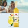 Sirop Pina Colada, eco-bio, 500 ml - Hollinger