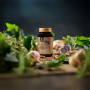 Usturoi Negru Forte - Extract natural fermentat, pentru circulatie sanguina si imunitate, 500 mg, 60 capsule - Aronia Charlotten