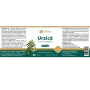 Extract standardizat de Urzica, pentru sanatatea sistemului urinar, 500 mg, 60 capsule vegetale - Aronia Charlottenburg