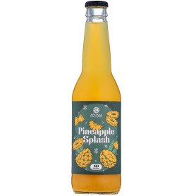Suc de Mar si Ananas, eco-bio, 330 ml - Aronia Charlottenburg