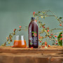 Suc de Macese, eco-bio, 500 ml - Aronia Charlottenburg