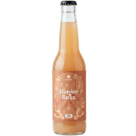 Suc Ginger Buzz din Mar, Ghimbir si Curcuma,  eco-bio, 330 ml - Aronia Charlottenburg