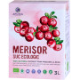 Suc de Merisoare, eco-bio, 3 L - Aronia Charlottenburg