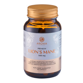 Premium Lion's Mane, Extract de Coama Leului, imbunatatirea memoriei si protectia sistemului nervos, 500 mg, 60 capsule vegetale