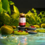 Premium Krill Oil, 500 mg, 90 capsule moi - Aronia Charlottenburg
