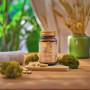 Premium Cordyceps, sustinerea energiei si a imunitatii, 500 mg, 60 capsule - Aronia Charlottenburg