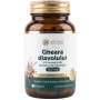 Gheara Diavolului extract standardizat, 700 mg, 60 capsule - Aronia Charlottenburg