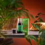 Gastro Help, pentru sustinerea digestiei si confortului intestinal, 200 ml - Aronia Charlottenburg