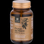Frunze de Maslin Forte Extract Standardizat, pentru sustinerea imunitatii si circulatiei, 60 capsule - Aronia Charlottenburg