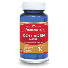 Collagen Artro, pentru sanatatea articulatiilor,  30 capsule - Herbagetica