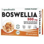 BOSWELLIA TAMAIE, 500 mg, Sustine functia mentala, 30cps -  COSMO PHARM