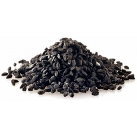 Chimen negru seminte, 100 g, Stef Mar
