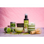 Sirop de Matcha, eco-bio, 250 ml - Sonnentor