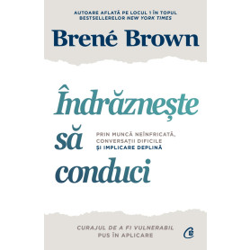 Indrazneste sa conduci - Carte - Curtea Veche