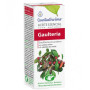 Ulei esential de Wintergreen, 10 ml - Esentialaroms