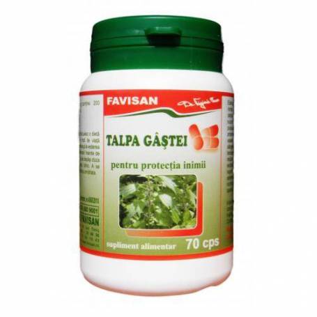 Talpa Gastei 70cps - Favisan