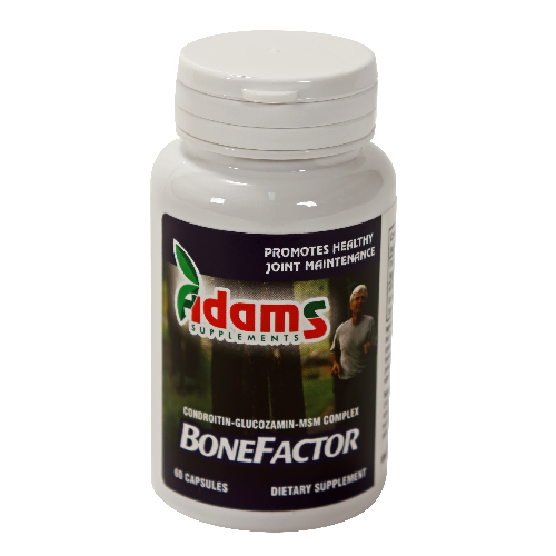 Bonefactor - condroitin + glucozamin + msm) 60cps - adams