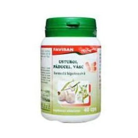 Usturoi + Paducel + Vasc 40cps - FAVISAN