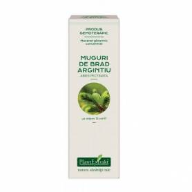 BRAD - muguri - gemoderivat concentrat - 15ml - PlantExtrakt