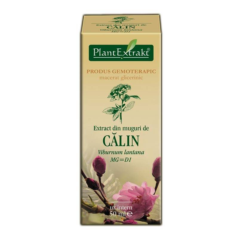 Calin - muguri - gemoderivat - 50ml - plantextrakt