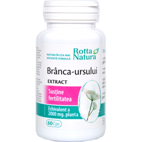 Branca Ursului - Extract - 400mg - 60cps – Rotta Natura