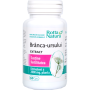 Branca Ursului - Extract - 400mg - 60cps – Rotta Natura