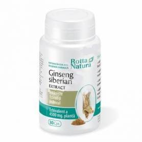 Ginseng siberian 300mg extract - 30cps – Rotta Natura