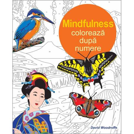 Coloreaza dupa numere - Mindfulness - David Woodroffe - carte - DPH