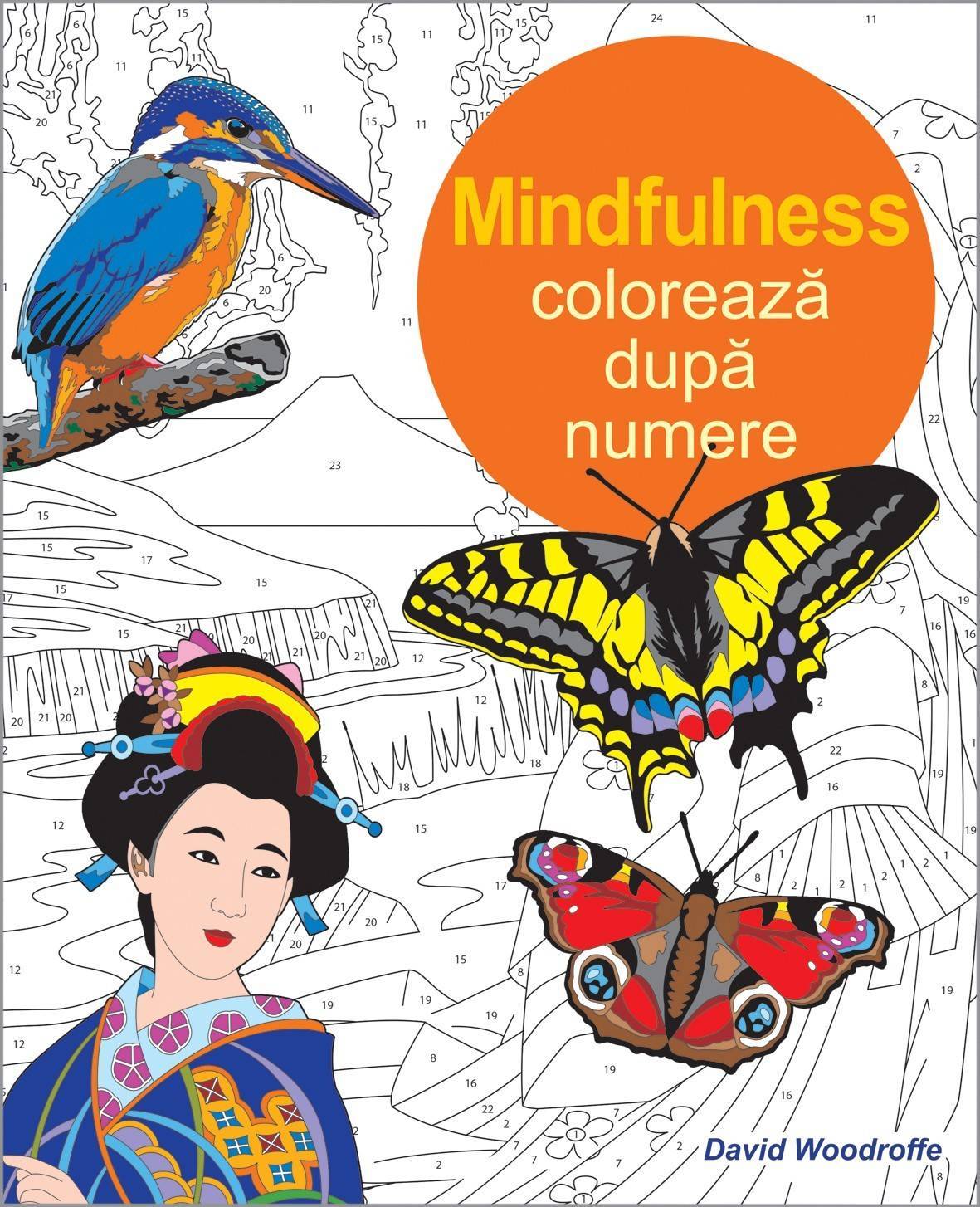 Coloreaza dupa numere - mindfulness - david woodroffe - carte - dph
