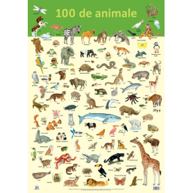 Plansa - 100 de animale - carte - DPH