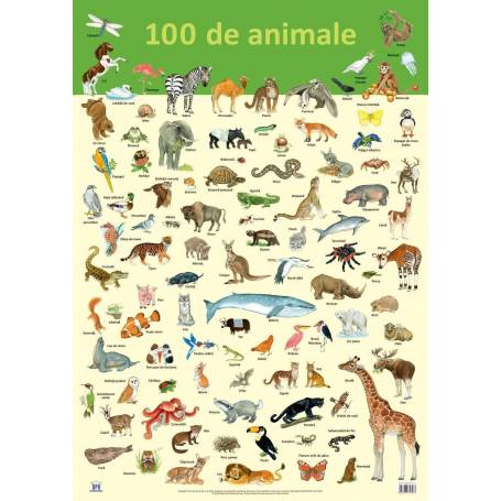 Plansa - 100 de animale - carte - DPH