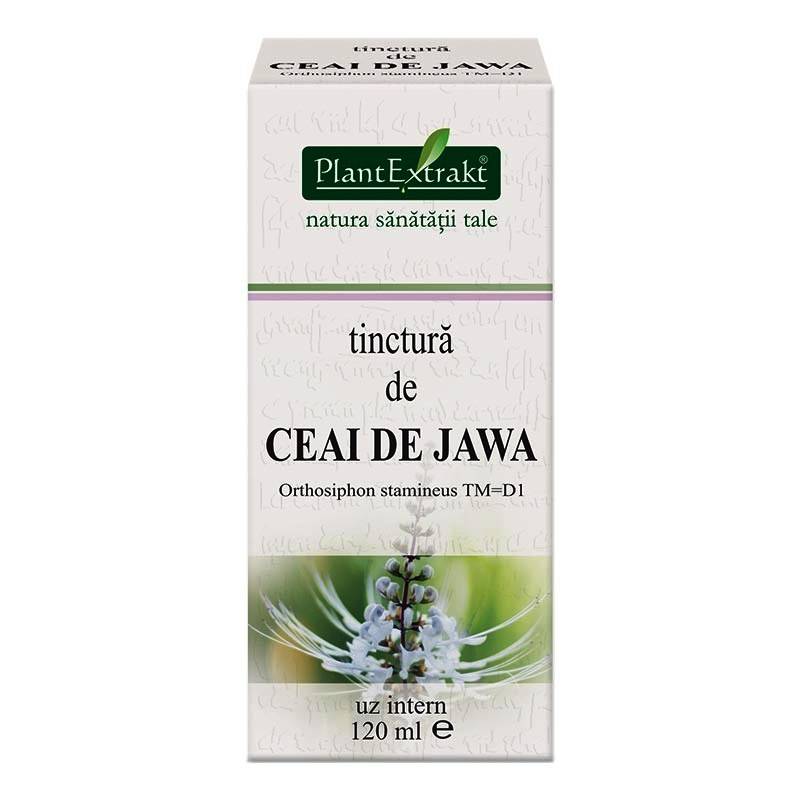 Tinctura De Ceai De Jawa - 120ml - Plantextrakt