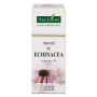 Tinctura de ECHINACEA - 50ml - PlantExtrakt