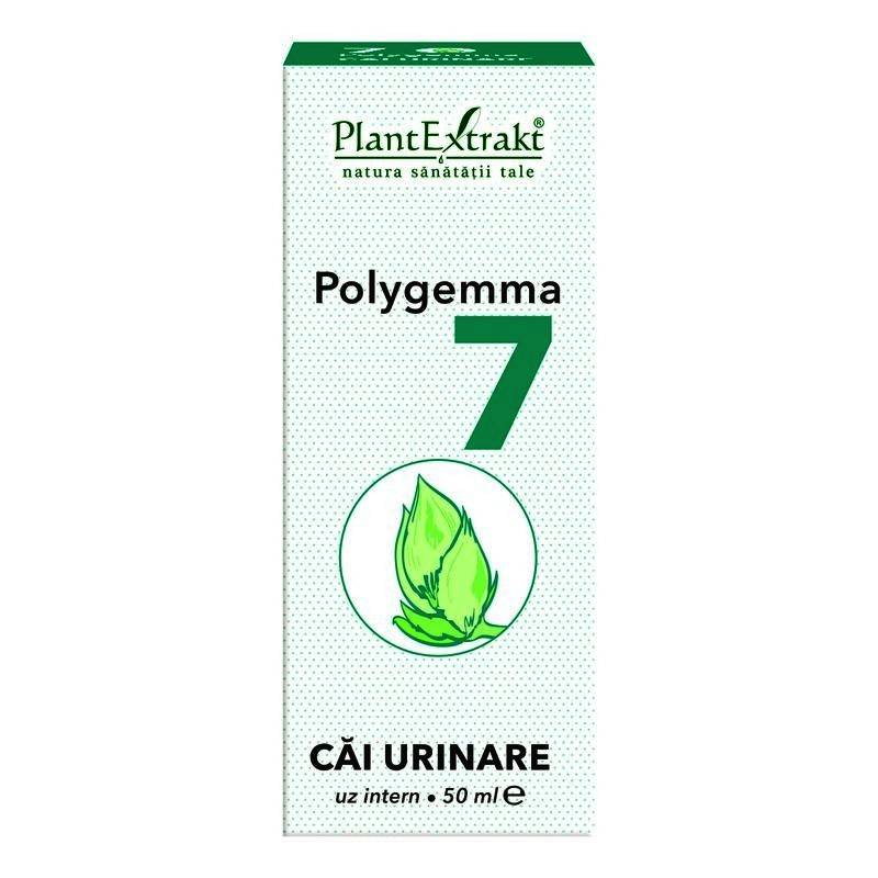 Polygemma 7 - cai urinare 50ml plantextrakt