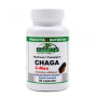 Chaga C-Max 60cps – Organika Provita