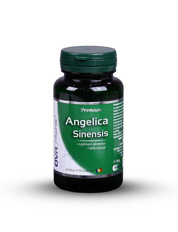 Angelica sinensis 60cps, dvr pharm