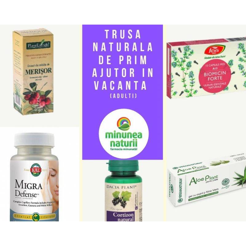 Trusa de prim ajutor in concediu adulti