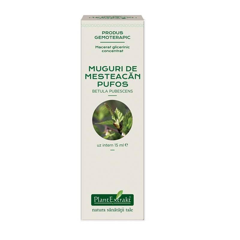 Mesteacan pufos - muguri - gemoderivat concentrat - 15ml - Plantextrakt