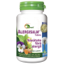 ALERGISALM 120 tablete, AYURMED