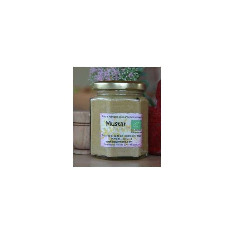 Mustar Bavarian cu boabe intregi BIO 200ml - Biofarmland