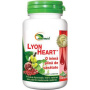LYON HEART - inima sanatoasa tablete, AYURMED - 120 tablete