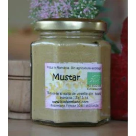 Mustar cu hrean BIO 200ml - Biofarmland