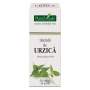 Tinctura de URZICA - Urtica dioica - 50ml - PlantExtrakt