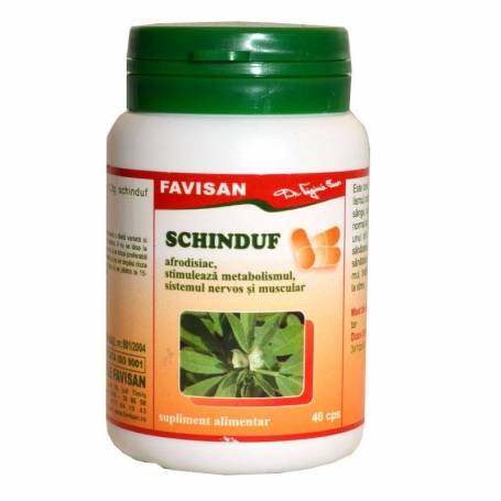 Schinduf 300mg 40cps - Favisan