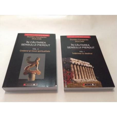 In cautarea sensului pierdut: Vol. I si II - Dumitru Constantin Dulcan - carte