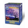 Ceai ayurvedic dureri menstruale - APANA - 100g Everest Ayurveda